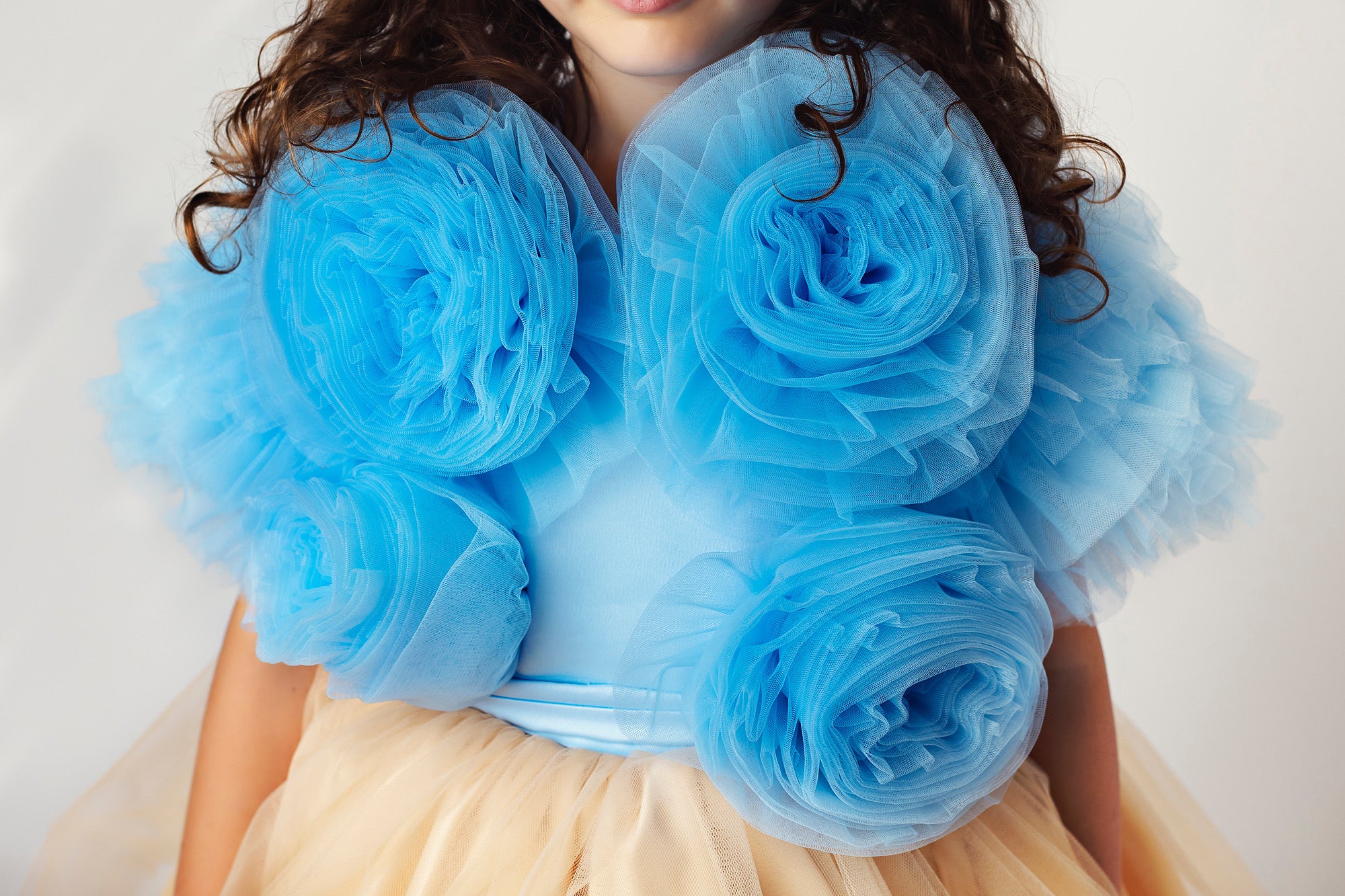 Blue Floral Tulle Top and Gold Dress