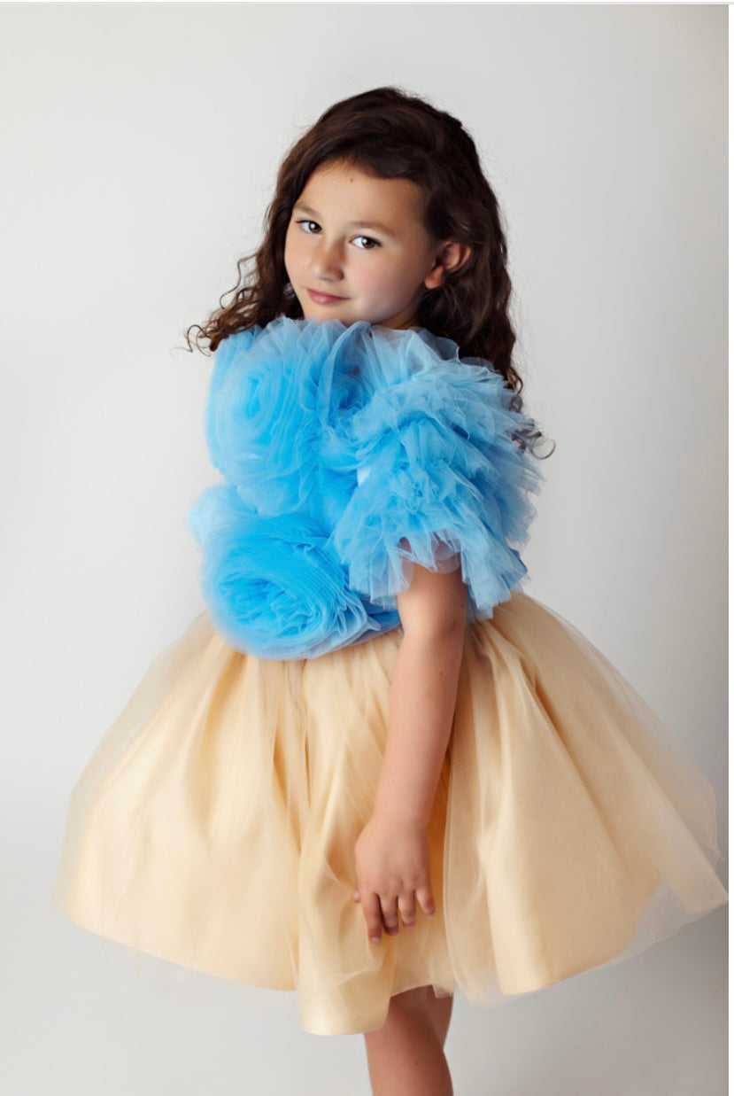 Blue Floral Tulle Top and Gold Dress