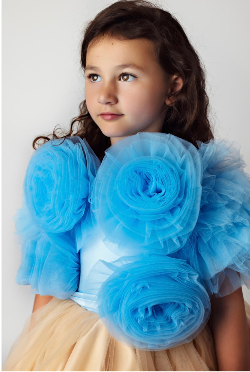 Blue Floral Tulle Top and Gold Dress