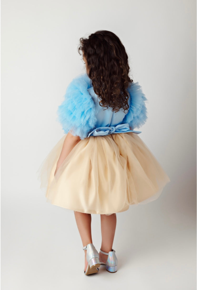 Blue Floral Tulle Top and Gold Dress