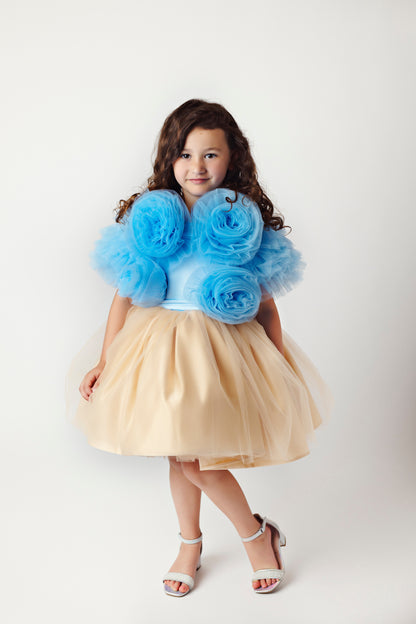 Blue Floral Tulle Top and Gold Dress