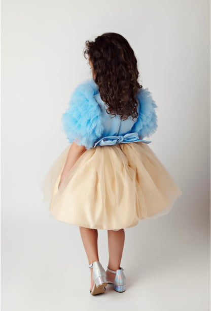 Blue Floral Tulle Top and Gold Dress